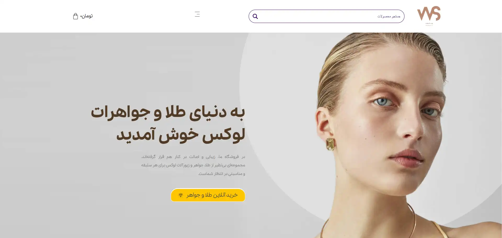 طراحی سایت در هرندی