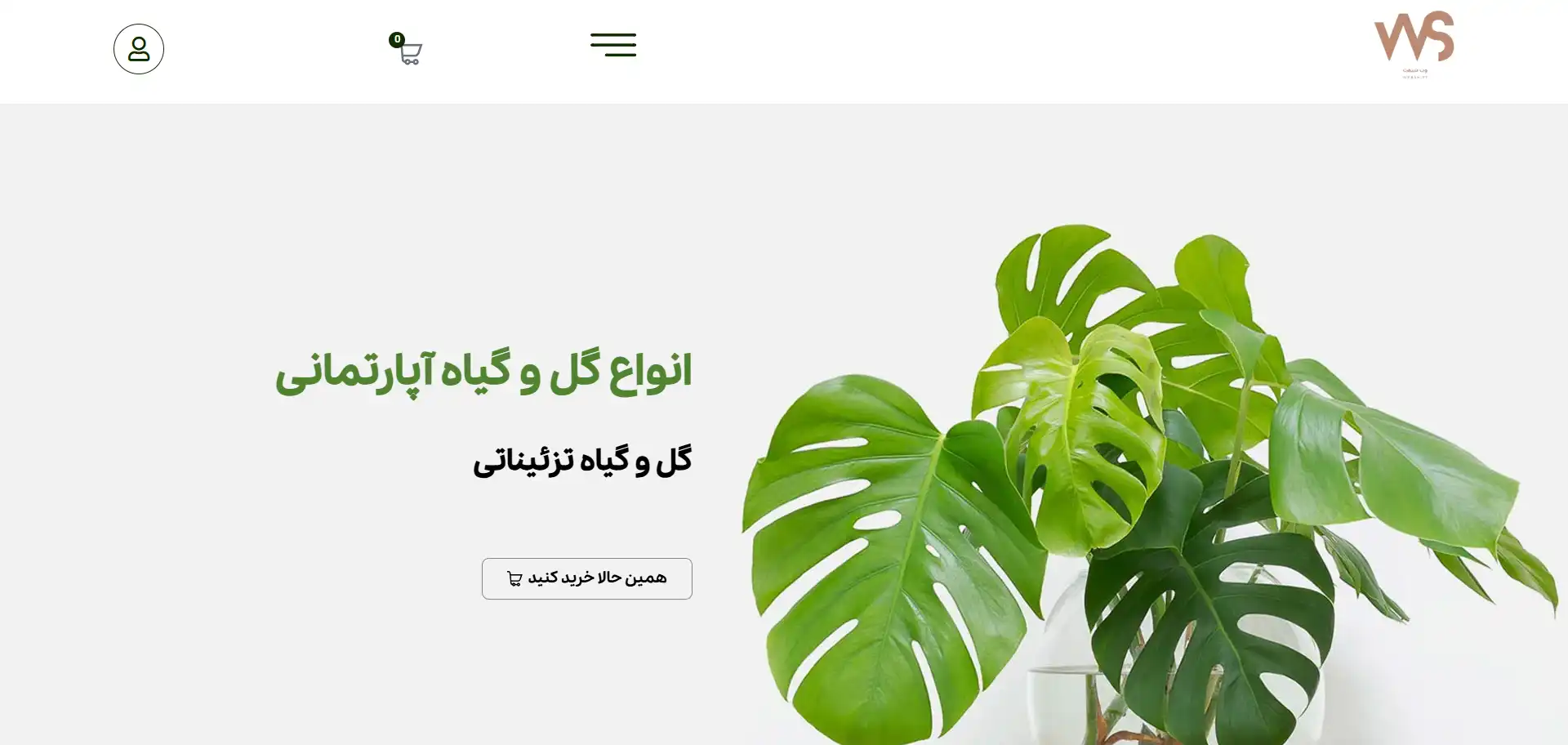 قالب وردپرس سایت فروشگاهی گل و گیاه گلخانه ای
